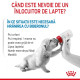 Royal Canin Babydog Milk – Înlocuitor de Lapte Matern pentru Căței – 400 g
